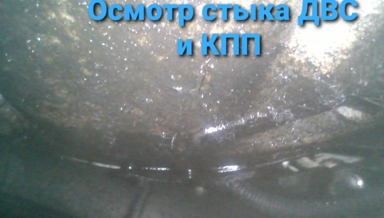 болячки течи туарегов стоимость