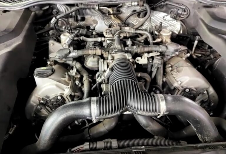 бензиновый макан задиры как выбрать и когда появляются