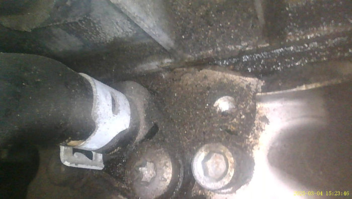 порше макан панамера дизель подбор авто проблемы